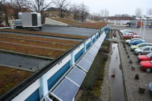 sweden green roofs