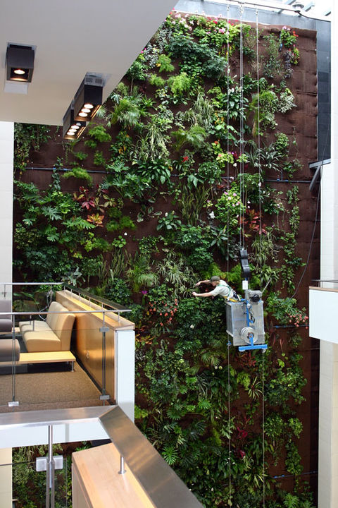 Biophilia in Practice: Buildings that Connect People with Nature ...