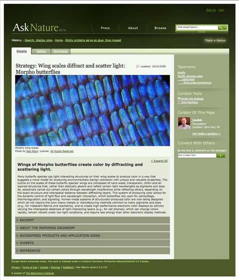 AskNature.org Connects Designers To Biomimicry Research | BuildingGreen