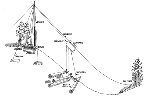 The Northwestern Timber Debate | BuildingGreen